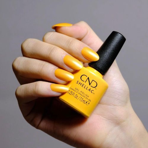 SHELLAC Vernis U.V  Among the Marigolds