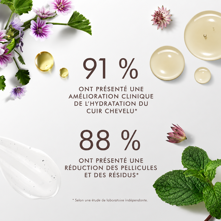 Infographie Moroccanoil présentant les résultats cliniques du Shampooing Équilibrant Cuir Chevelu avec statistiques sur l'hydratation, la réduction des pellicules et des résidus, illustrée d'ingrédients naturels.