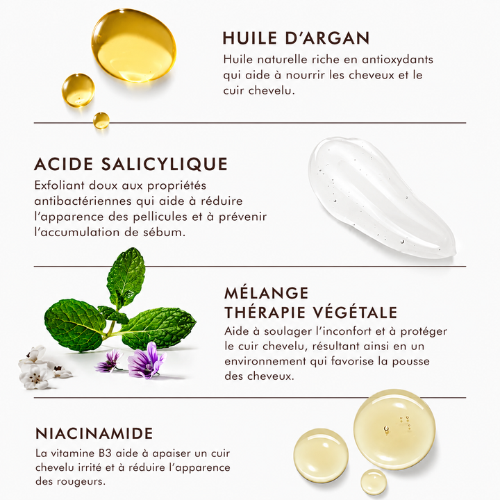 Infographie des ingrédients du Shampooing Équilibrant Cuir Chevelu Moroccanoil illustrant l'huile d'argan, l'acide salicylique, la niacinamide et le Mélange Thérapie Végétale pour un cuir chevelu sain.