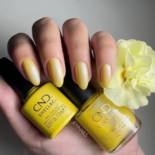 SHELLAC Vernis U.V Char truth