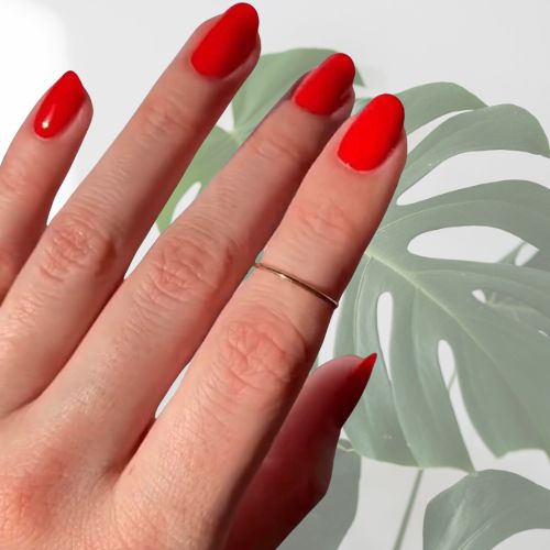 SHELLAC Vernis U.V  Poppy fields