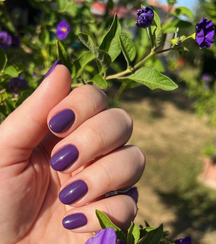 SHELLAC UV Nail Polish Purple Purple***