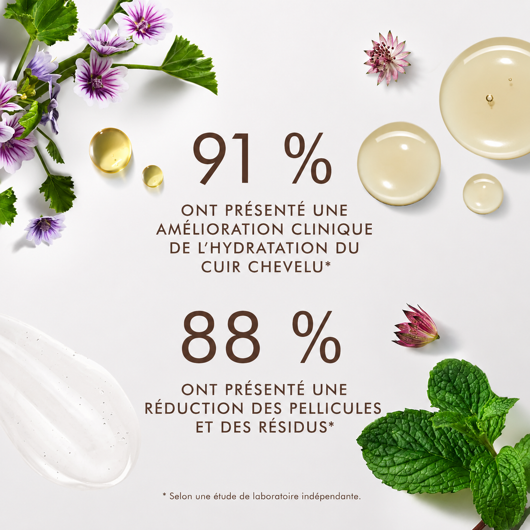 Infographie Moroccanoil Scalp présentant les résultats cliniques : amélioration de l'hydratation du cuir chevelu, réduction des pellicules et des résidus avec ingrédients botaniques.