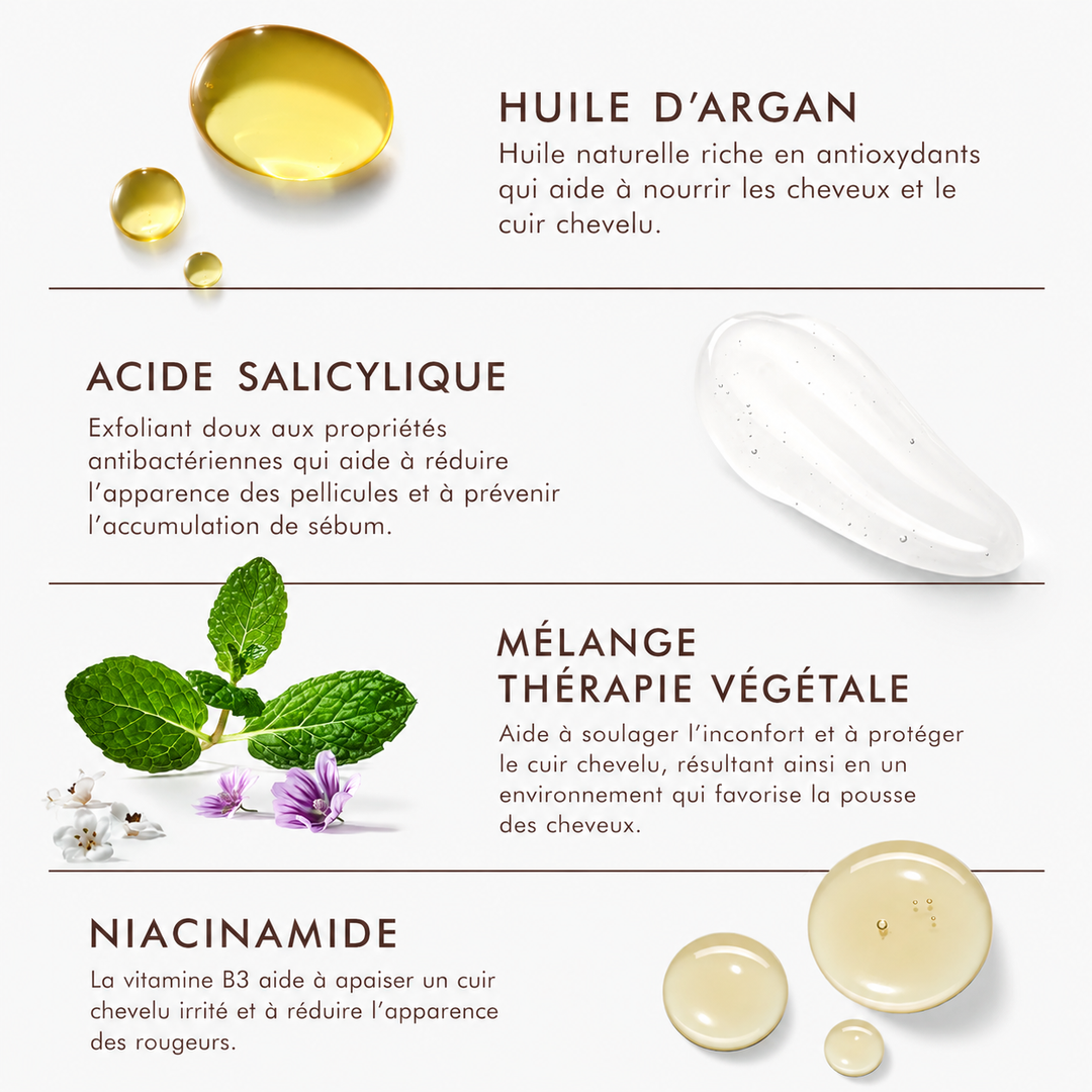 Infographie des ingrédients clés de l'après-shampoing Moroccanoil Scalp : huile d'argan, acide salicylique, niacinamide et mélange de thérapie végétale pour un cuir chevelu sain.