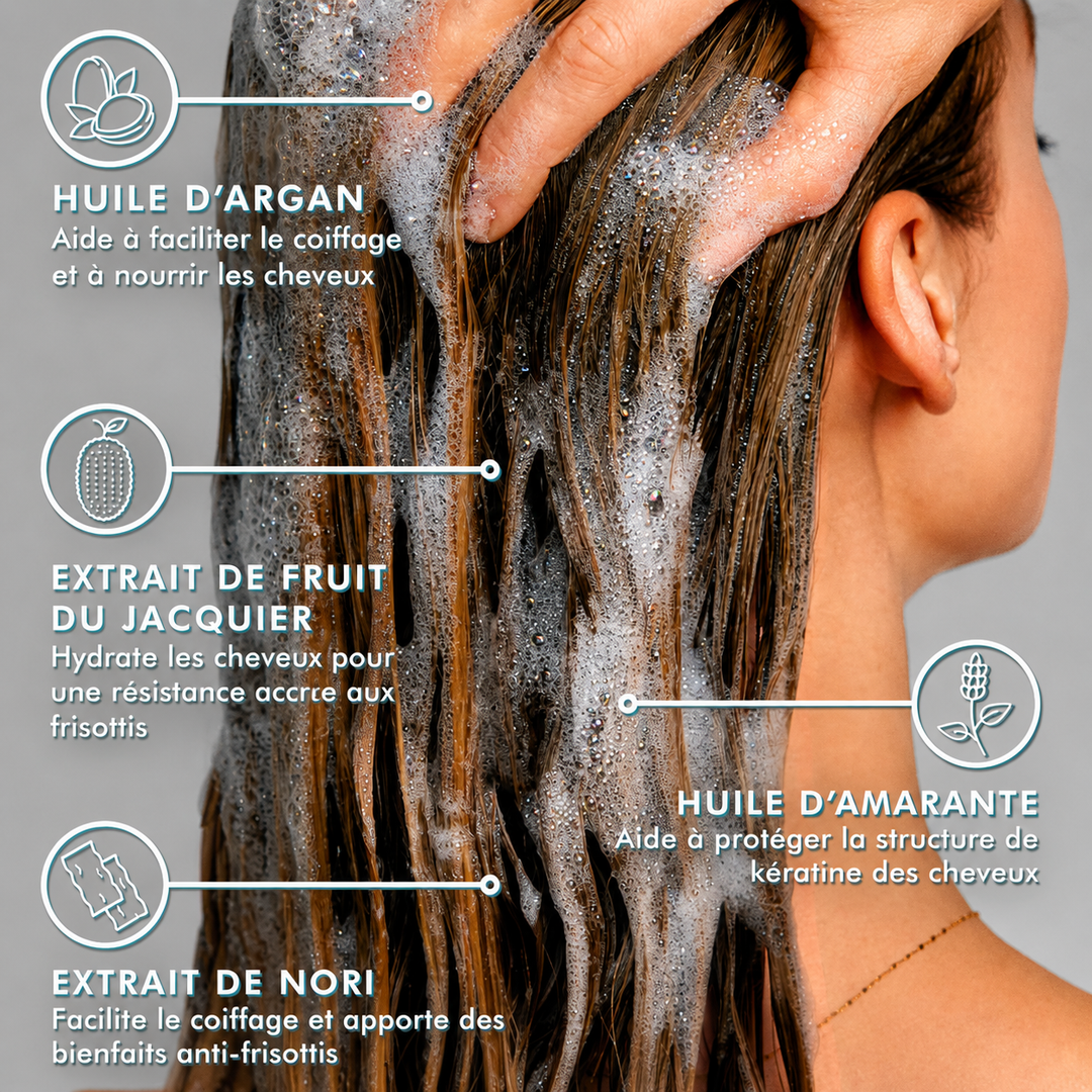 Infographie des ingrédients du shampoing anti-frisottis Moroccanoil montrant une chevelure lavée avec de la mousse. Les bienfaits de l'huile d'argan, de l'huile d'amarante, de l'extrait de fruit du jacquier et de l'extrait de nori sont illustrés pour hydrater les cheveux, réduire les frisottis et protéger la fibre capillaire.