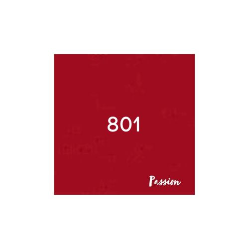 Velours à lèvres 801