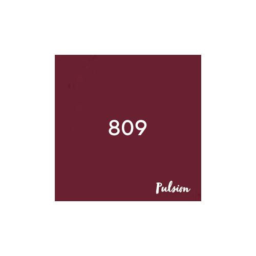 Velours à lèvres 809
